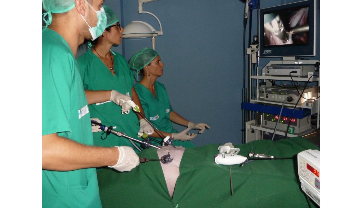 Acercando el entrenamiento in-vivo a las especialidades sanitarias de Canarias